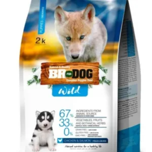 BR WILD DOG PUPPY