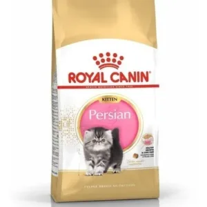ROYAL PERSIAN KITTEN