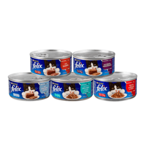 PATE LATA FELIX