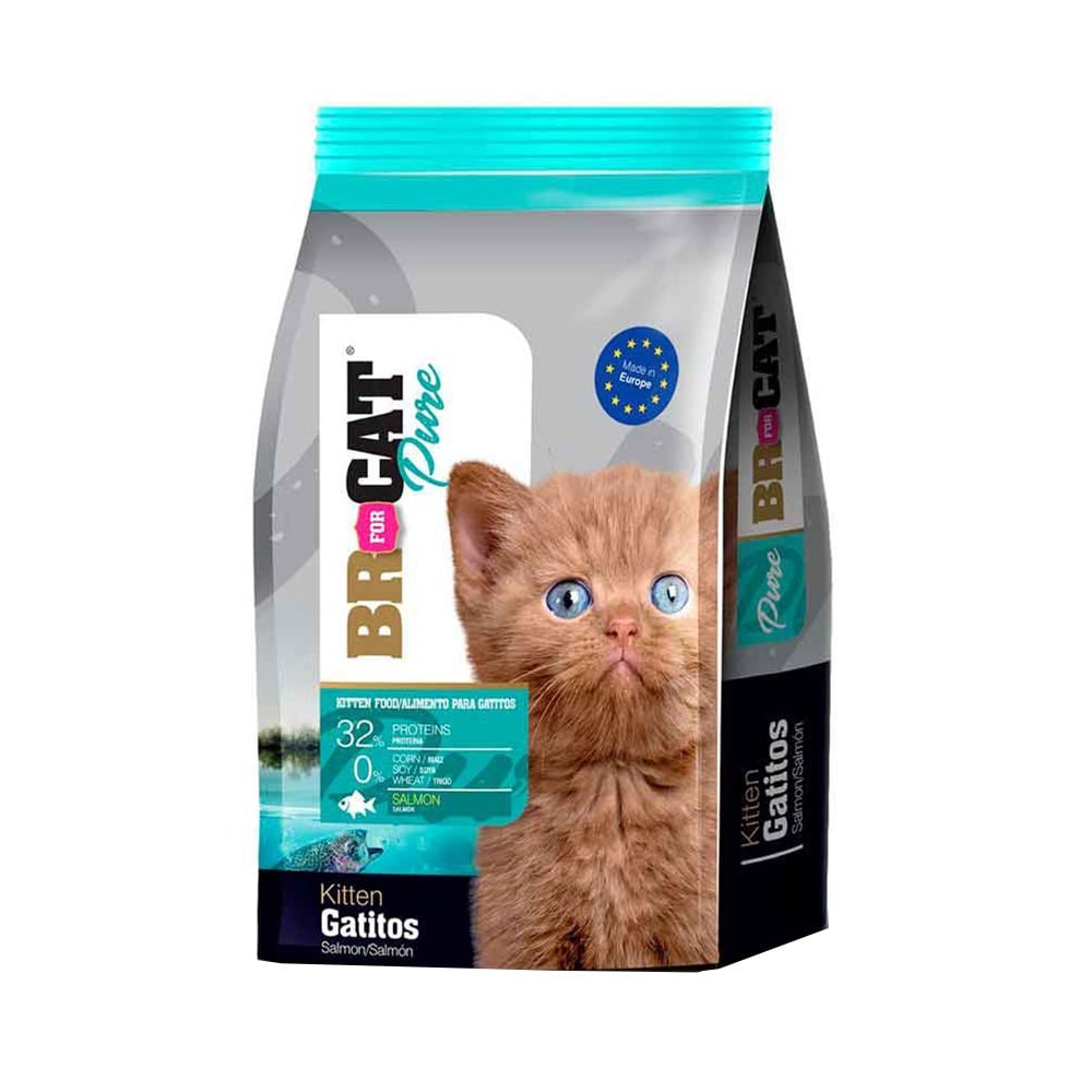 gatito-2.jpg