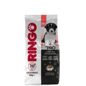 RINGO + PRO CACHORRO